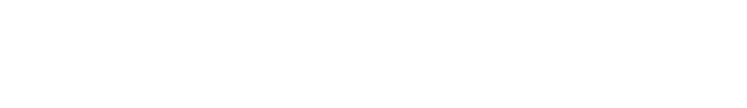Smart City System Parking Solutions GmbH